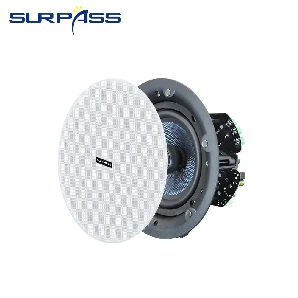 Ceiling Loudspeakers (BTF401)