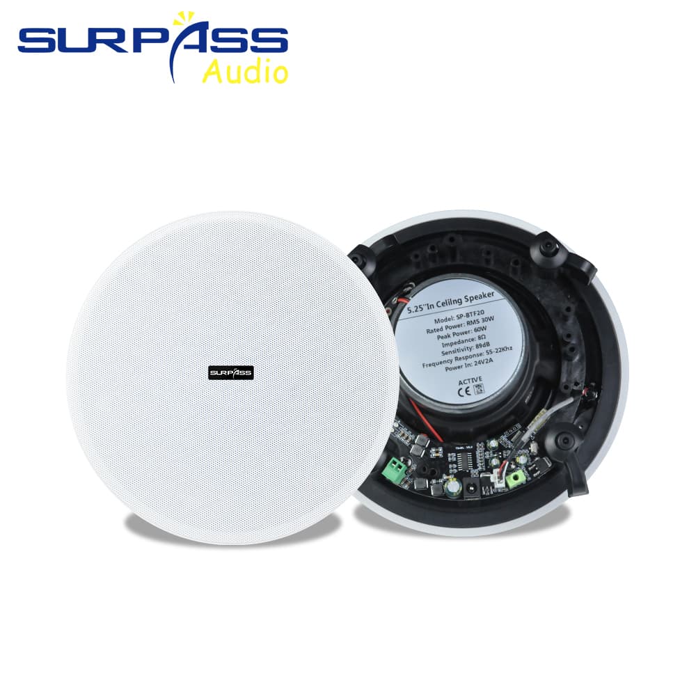 Ceiling Loudspeakers (CR-615)