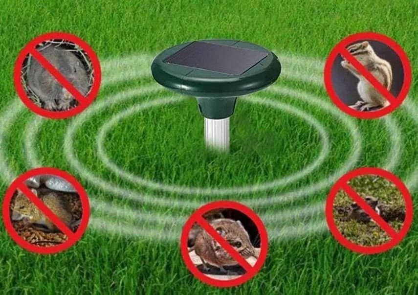Solar Snake/Mole Repeller thumbnail 6